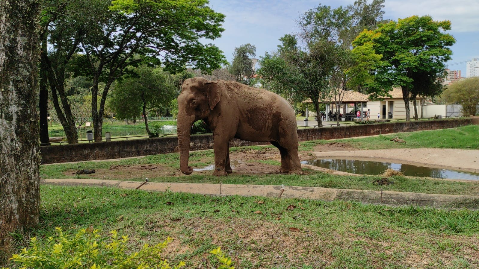 foto Not&iacute;cia Sorocaba