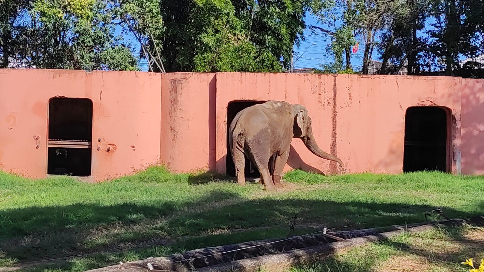 foto Not&iacute;cia Sorocaba